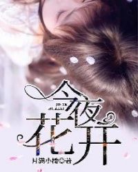 今夜花开小说免费看
